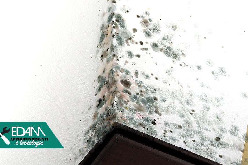 muffa e umidità cause e rimedi